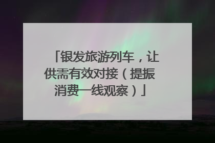 银发旅游列车，让供需有效对接（提振消费一线观察）