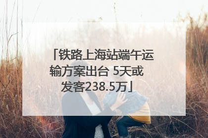 铁路上海站端午运输方案出台 5天或发客238.5万
