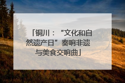 铜川：“文化和自然遗产日”奏响非遗与美食交响曲