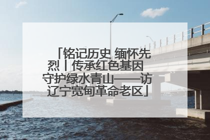 铭记历史 缅怀先烈丨传承红色基因 守护绿水青山——访辽宁宽甸革命老区