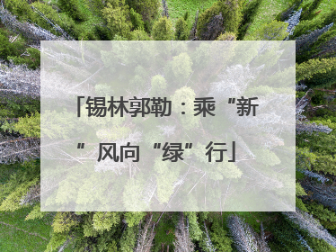 锡林郭勒：乘“新”风向“绿”行