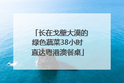 长在戈壁大漠的绿色蔬菜38小时直达粤港澳餐桌