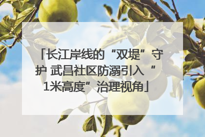 长江岸线的“双堤”守护 武昌社区防溺引入“1米高度”治理视角