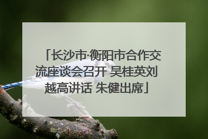 长沙市·衡阳市合作交流座谈会召开 吴桂英刘越高讲话 朱健出席
