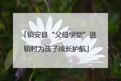 镇安县“父母学堂”进镇村为孩子成长护航