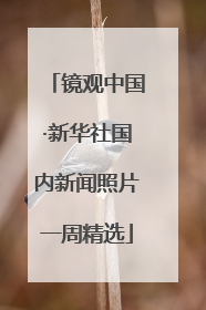 镜观中国·新华社国内新闻照片一周精选