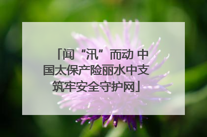 闻“汛”而动 中国太保产险丽水中支筑牢安全守护网