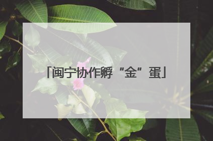 闽宁协作孵“金”蛋