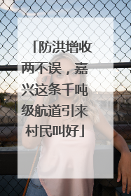 防洪增收两不误，嘉兴这条千吨级航道引来村民叫好