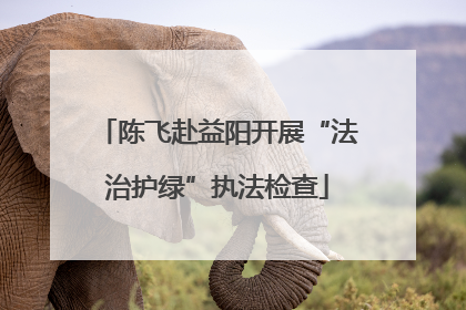 陈飞赴益阳开展“法治护绿”执法检查