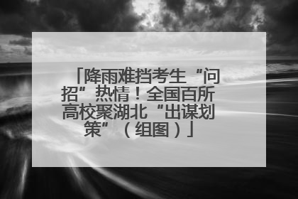 降雨难挡考生“问招”热情！全国百所高校聚湖北“出谋划策”（组图）