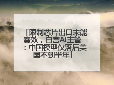 限制芯片出口未能奏效，白宫AI主管：中国模型仅落后美国不到半年