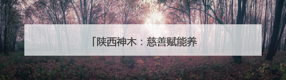 陕西神木：慈善赋能养老 绘就村社幸福图景