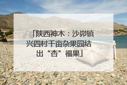 陕西神木：沙峁镇兴四村千亩杂果园结出“杏”福果