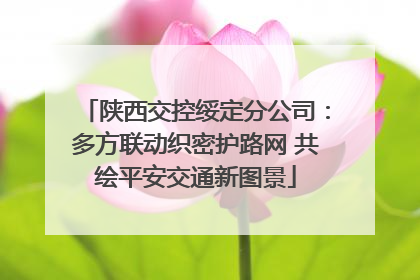陕西交控绥定分公司：多方联动织密护路网 共绘平安交通新图景