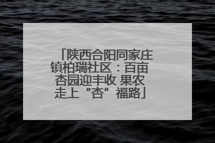 陕西合阳同家庄镇柏瑞社区：百亩杏园迎丰收 果农走上“杏”福路