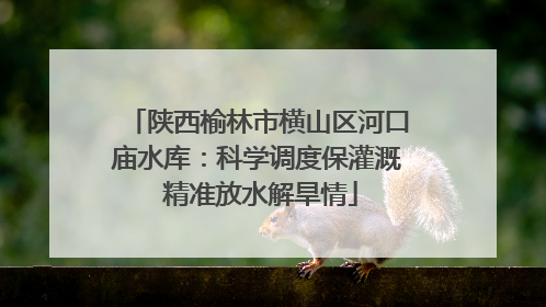 陕西榆林市横山区河口庙水库：科学调度保灌溉 精准放水解旱情