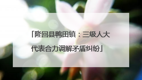 隆回县鸭田镇：三级人大代表合力调解矛盾纠纷