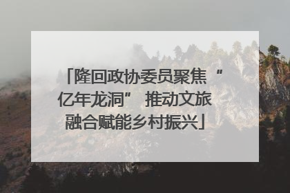 隆回政协委员聚焦“亿年龙洞” 推动文旅融合赋能乡村振兴
