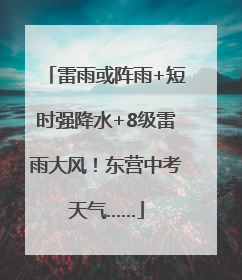 雷雨或阵雨+短时强降水+8级雷雨大风！东营中考天气……
