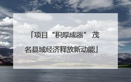 项目“积厚成器” 茂名县域经济释放新动能