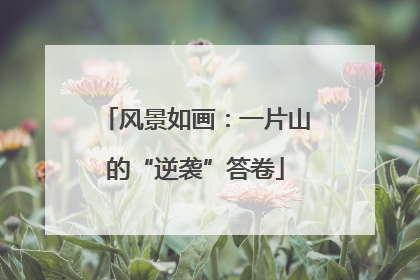 风景如画：一片山的“逆袭”答卷