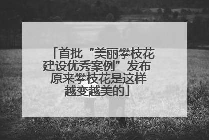 首批“美丽攀枝花建设优秀案例”发布 原来攀枝花是这样越变越美的