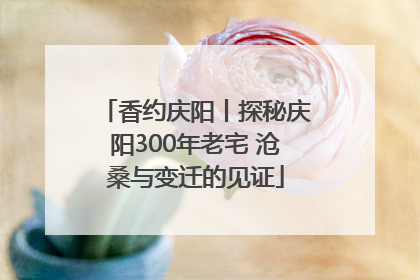 香约庆阳丨探秘庆阳300年老宅 沧桑与变迁的见证
