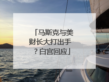 马斯克与美财长大打出手？白宫回应