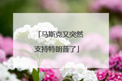 马斯克又突然支持特朗普了