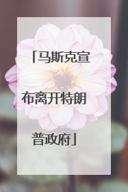 马斯克宣布离开特朗普政府