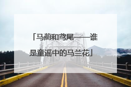 马蔺和鸢尾——谁是童谣中的马兰花