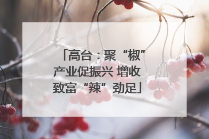 高台：聚“椒”产业促振兴 增收致富“辣”劲足