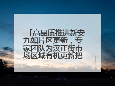 高品质推进新安九如片区更新，专家团队为汉正街市场区域有机更新把脉问诊