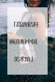 高唐秸秆画亮相中国美术馆