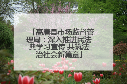 高唐县市场监督管理局：深入推进民法典学习宣传 共筑法治社会新篇章