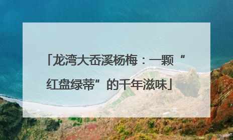 龙湾大岙溪杨梅：一颗“红盘绿蒂”的千年滋味