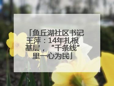鱼丘湖社区书记王萍：14年扎根基层，“千条线”里一心为民