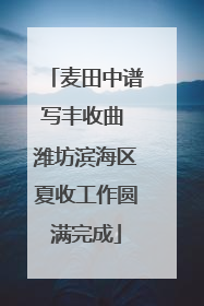 麦田中谱写丰收曲 潍坊滨海区夏收工作圆满完成