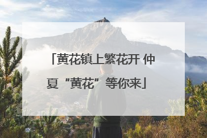 黄花镇上繁花开 仲夏“黄花”等你来