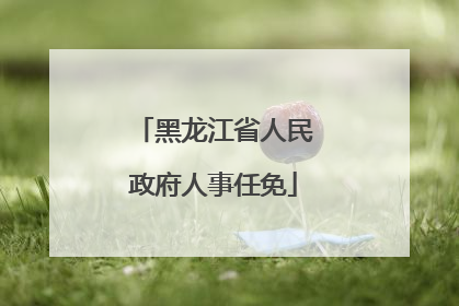 黑龙江省人民政府人事任免