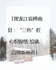 黑龙江省桦南县：“三色”匠心织锦绣 绘就治理新画卷