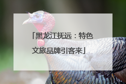 黑龙江抚远：特色文旅品牌引客来