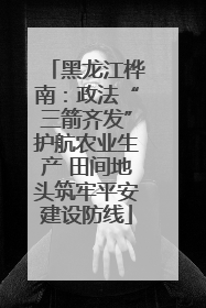 黑龙江桦南：政法“三箭齐发”护航农业生产 田间地头筑牢平安建设防线