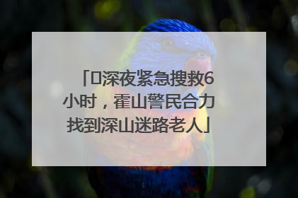 ﻿深夜紧急搜救6小时，霍山警民合力找到深山迷路老人