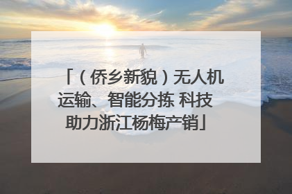 （侨乡新貌）无人机运输、智能分拣 科技助力浙江杨梅产销