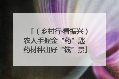 （乡村行·看振兴）农人手握金“药”匙 药材种出好“钱”景