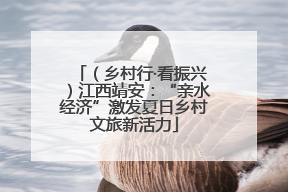 （乡村行·看振兴）江西靖安：“亲水经济”激发夏日乡村文旅新活力