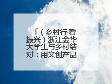 （乡村行·看振兴）浙江金华大学生与乡村结对：用文创产品赋能乡村振兴