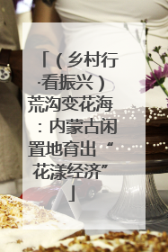（乡村行·看振兴）荒沟变花海：内蒙古闲置地育出“花漾经济”